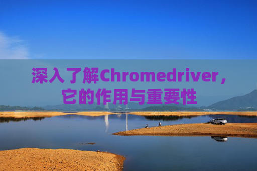 深入了解Chromedriver，它的作用与重要性